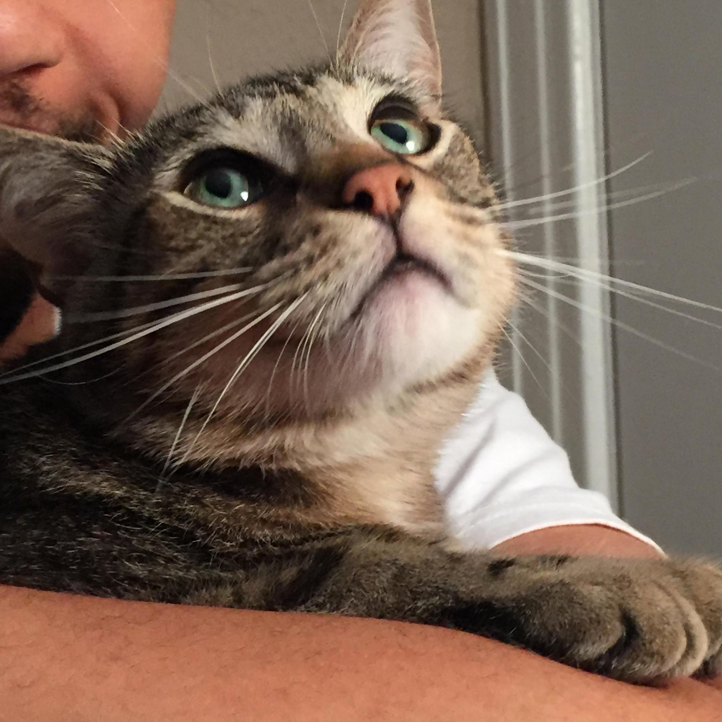 What Could He Possibly Be Thinking About