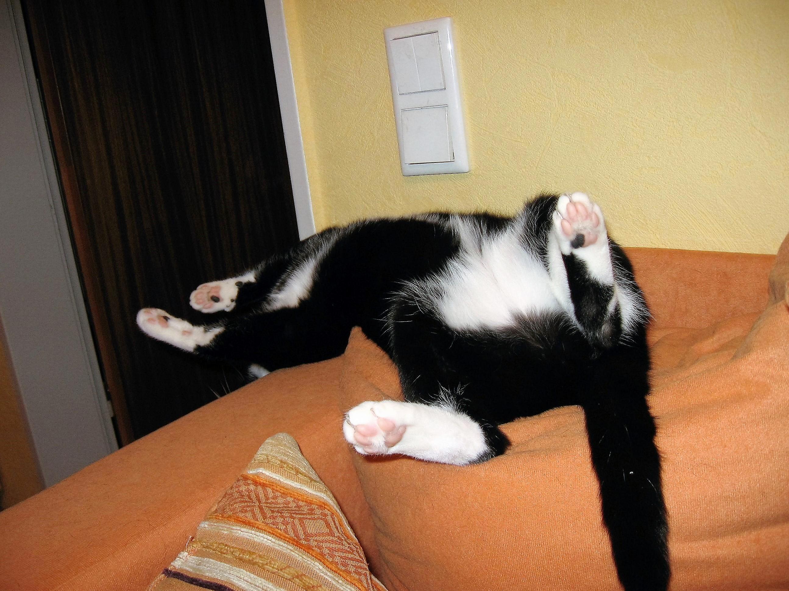 Whatever Is Comfortable I Guess...