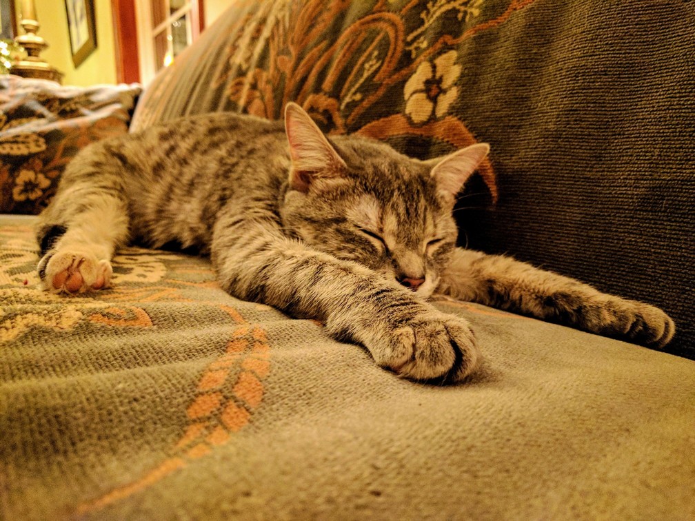 Zonked