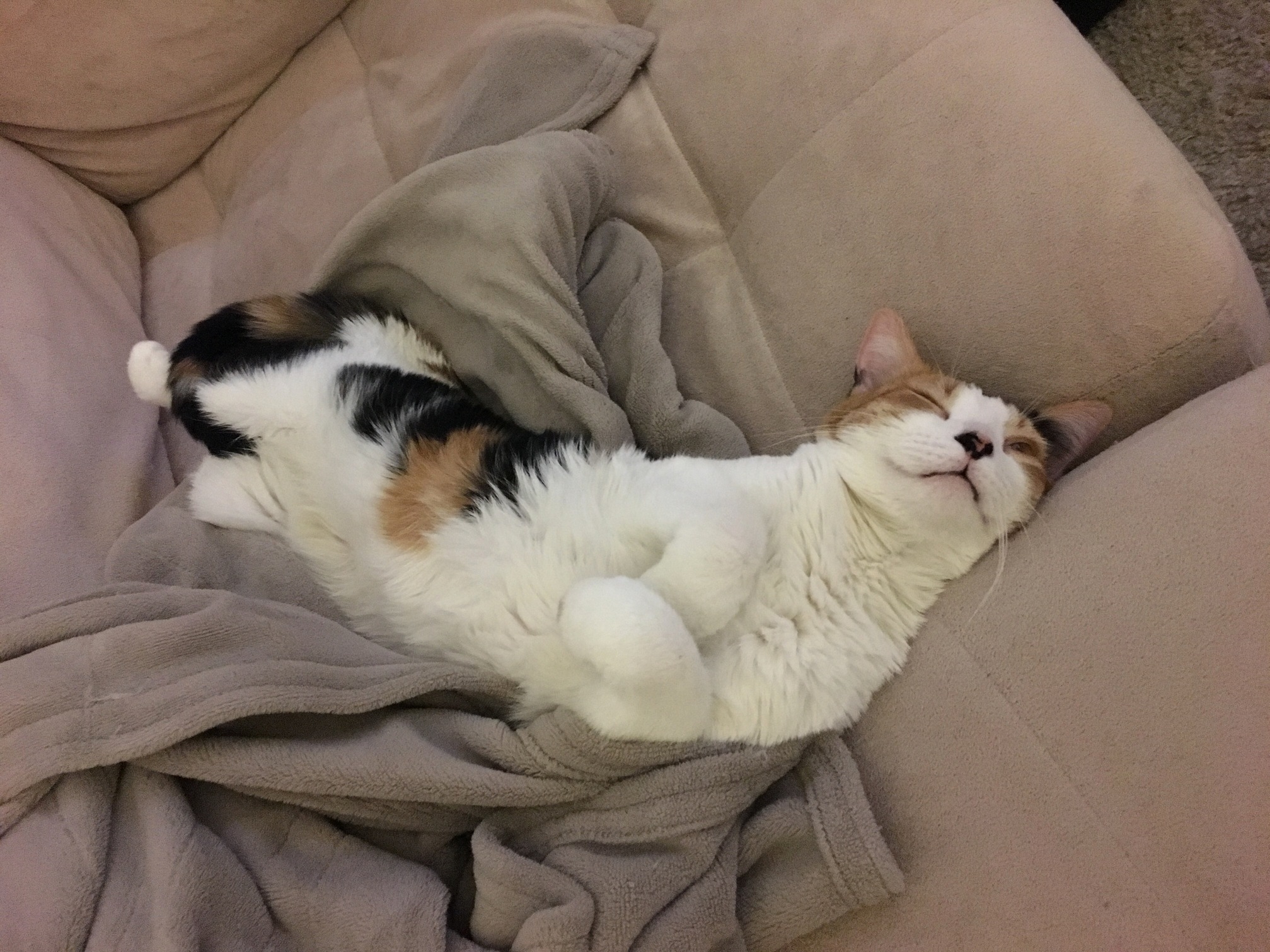 After a 10 Minute Burst of Energy...