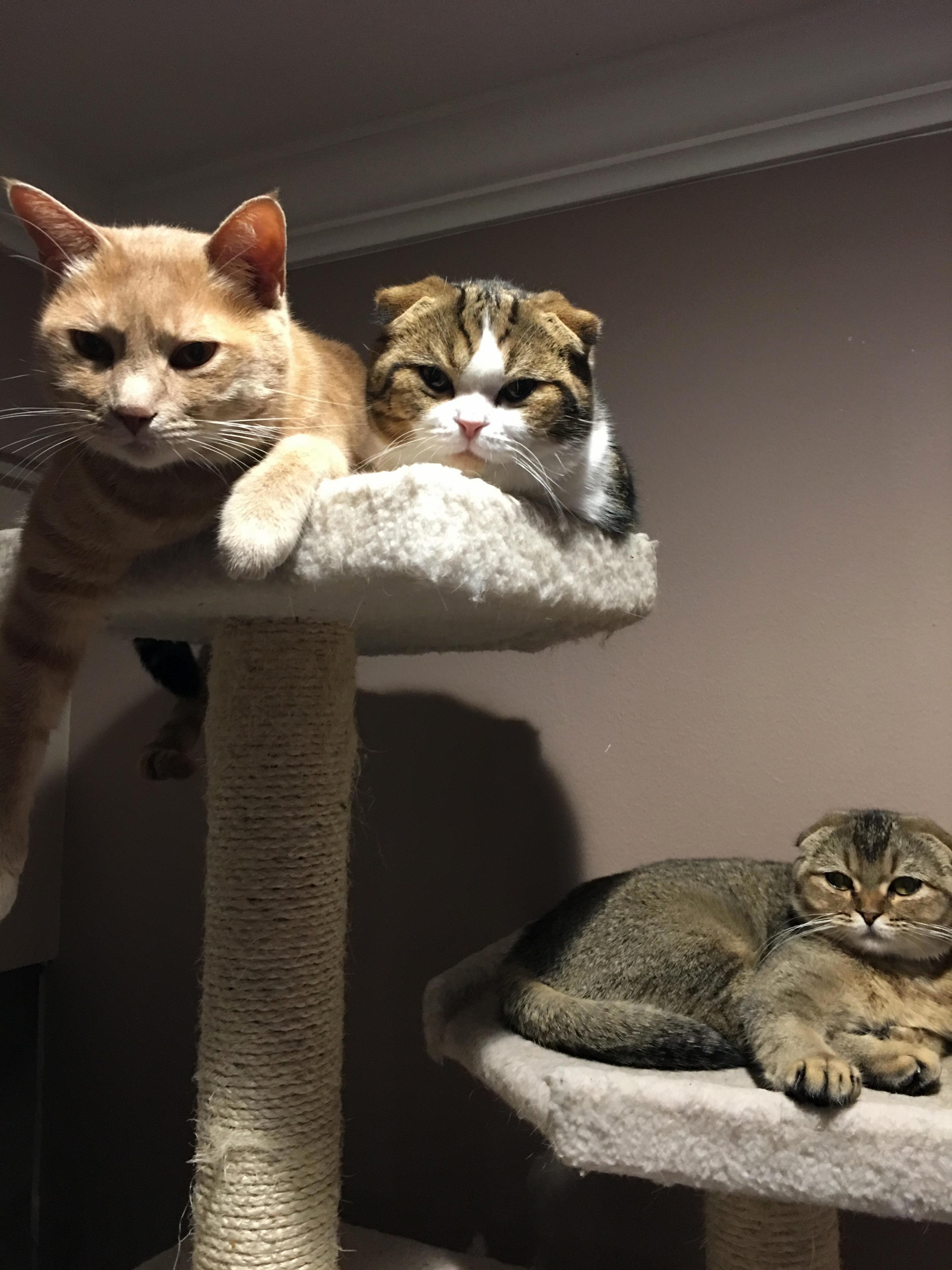 Almost a Full Family Photo