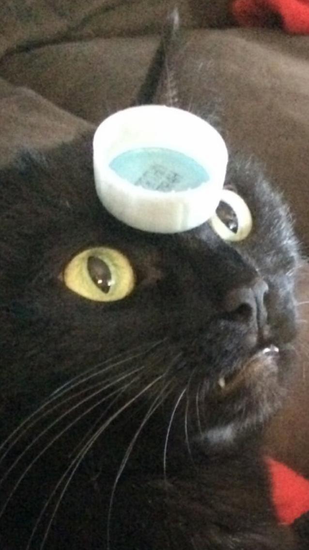 Bottle Caps Are Mysterious Things