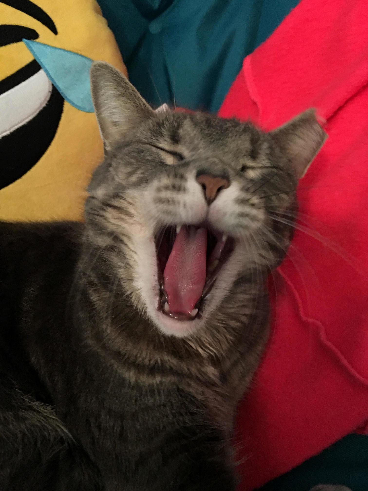 Caption This Photo