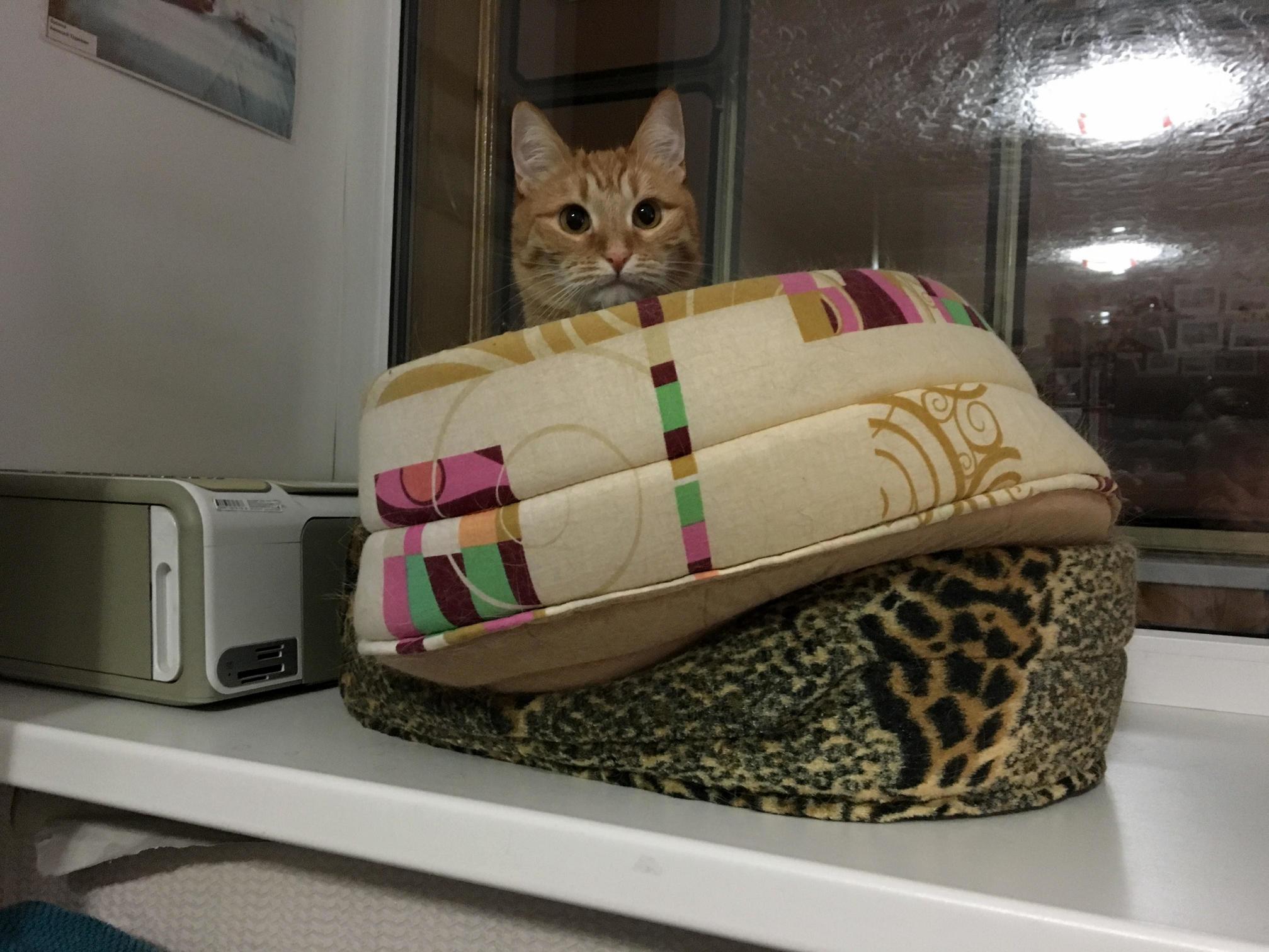 Classic Double Decker.