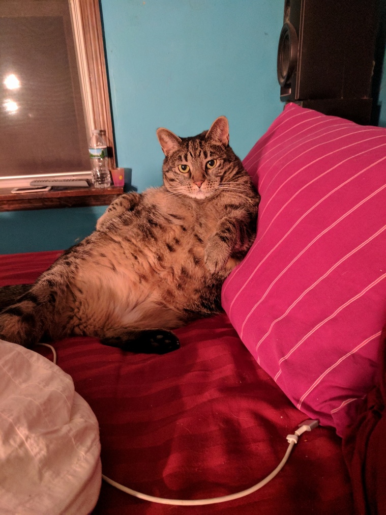 Getting Ready for Bed.