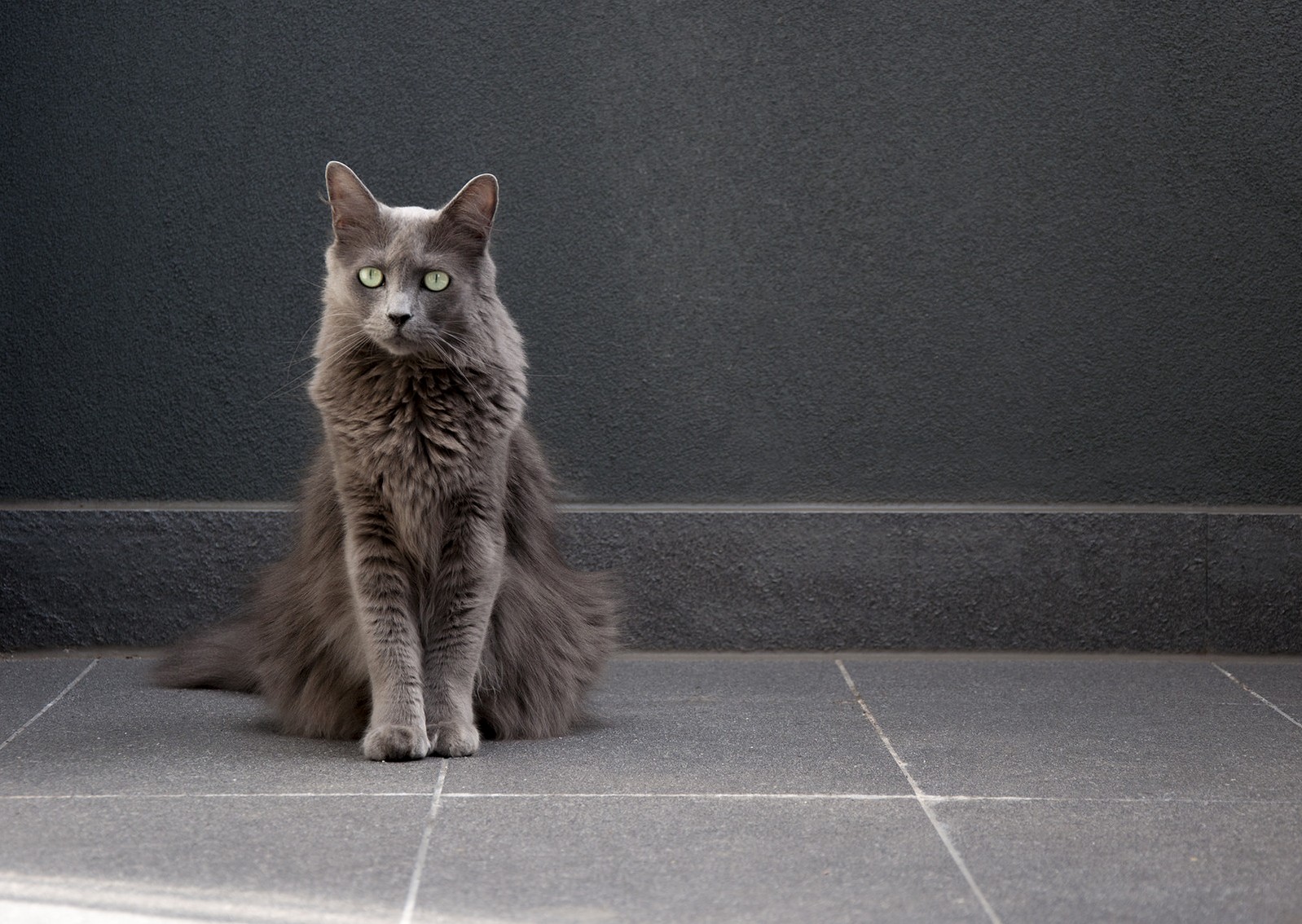 Grey on Grey on Grey
