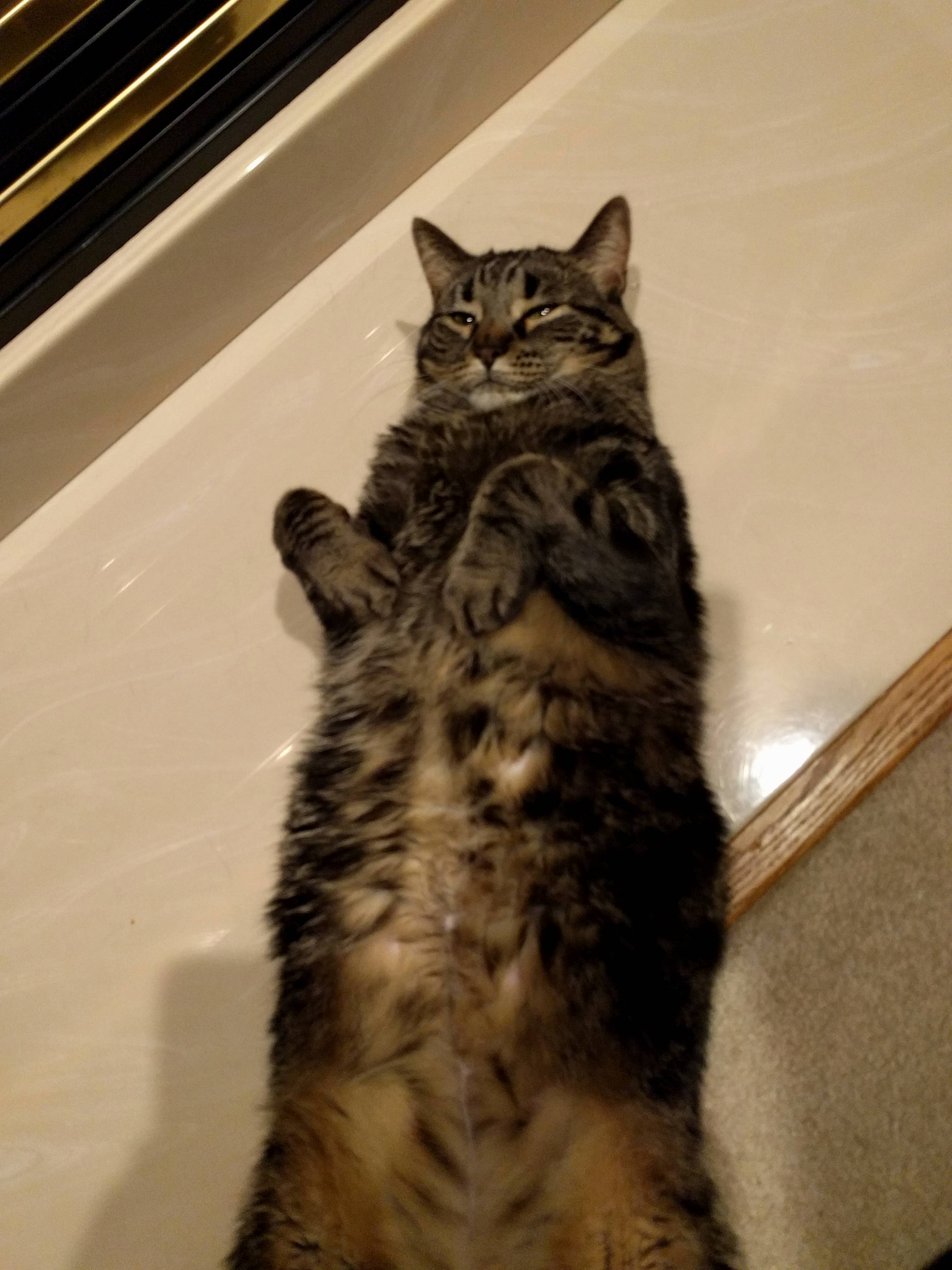 Happy Sixth Birthday Snickers