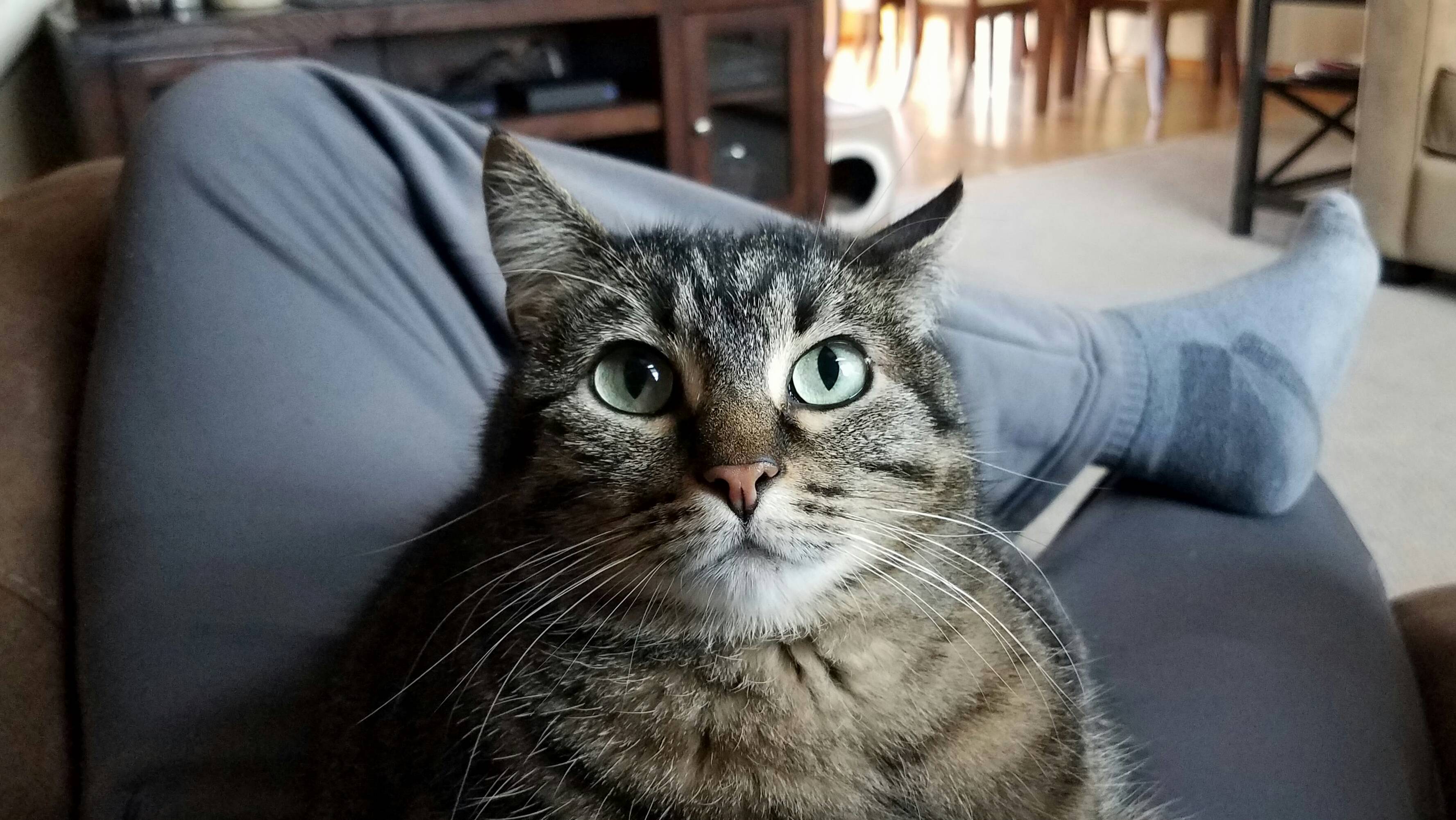 Her Name Is Little