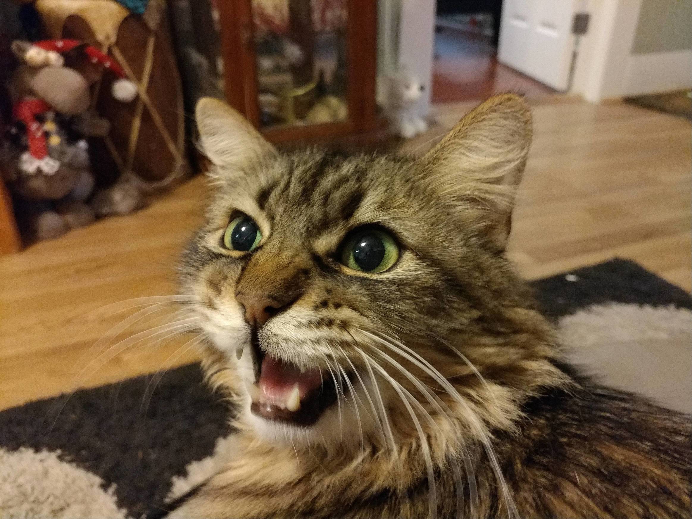Hes Always Got Something to Say