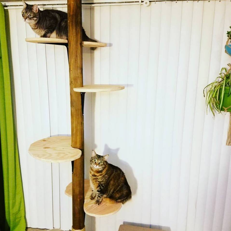 Home Built Cat Tree Project... I Think They Like It.