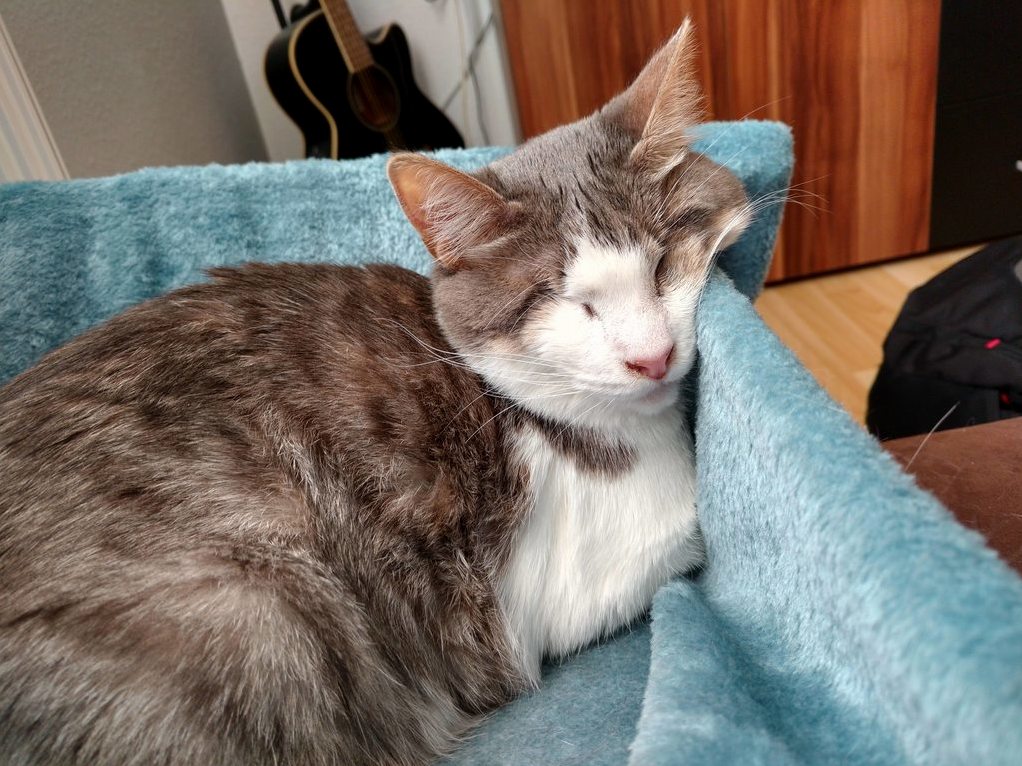 How My Blind Girl Likes to Sleep