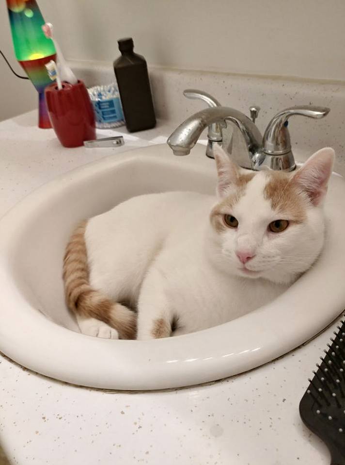 I Is Liquid.