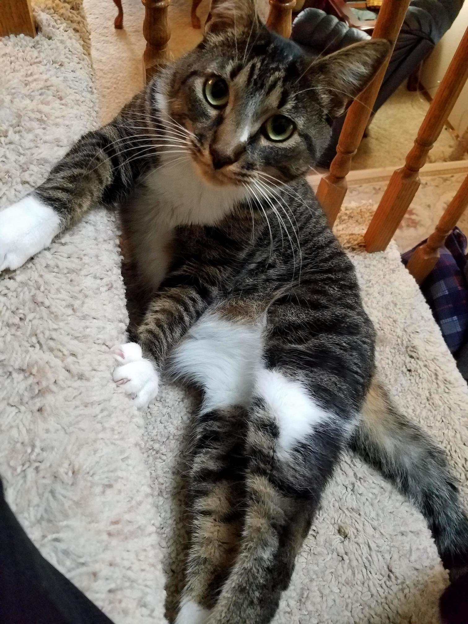 Is...is This How the Ladies Sit