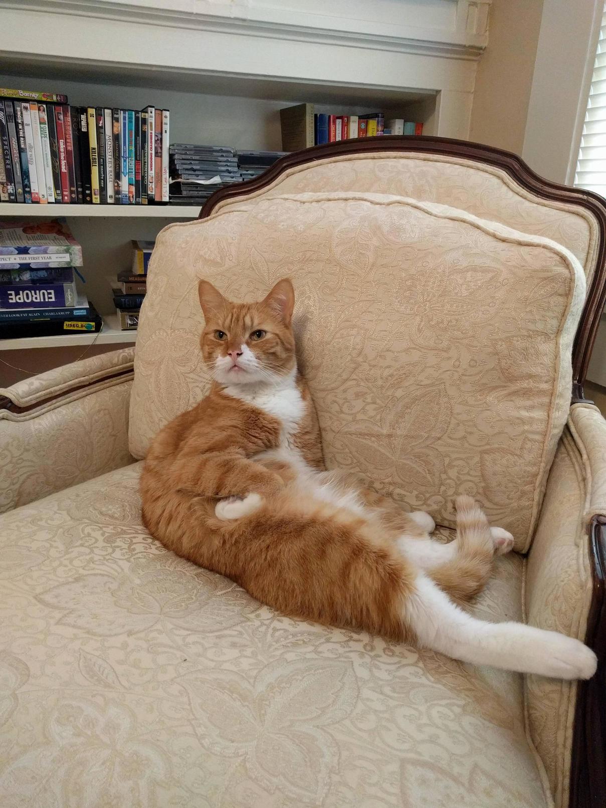 Its Good to Be the King