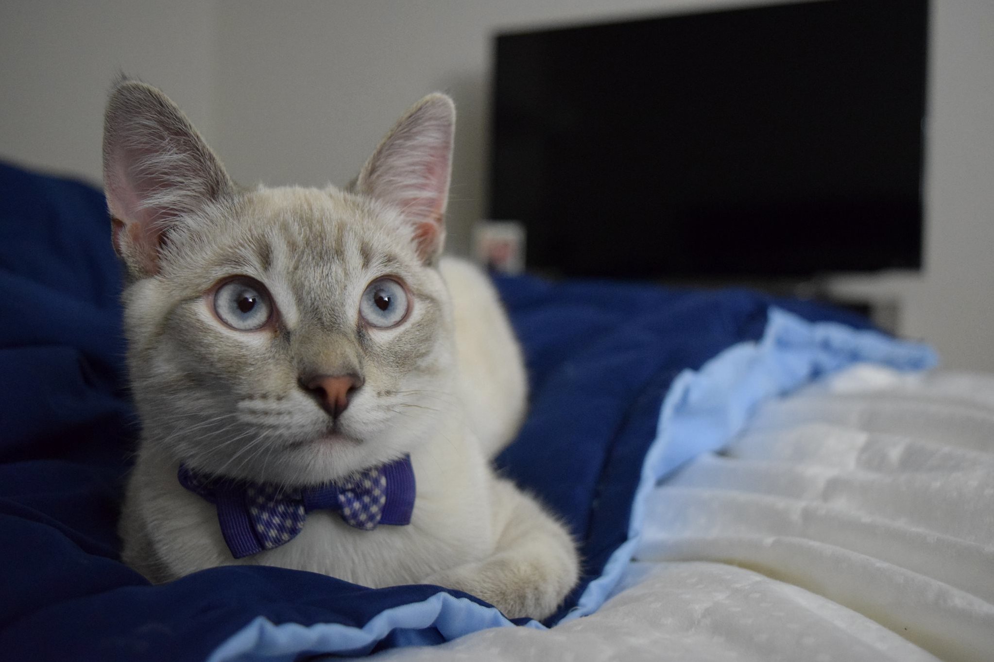 Jimothy Looking Dapper.