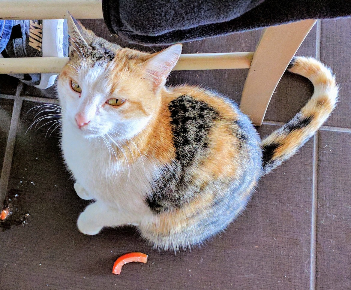 Made a New Friend at Lunch Today.