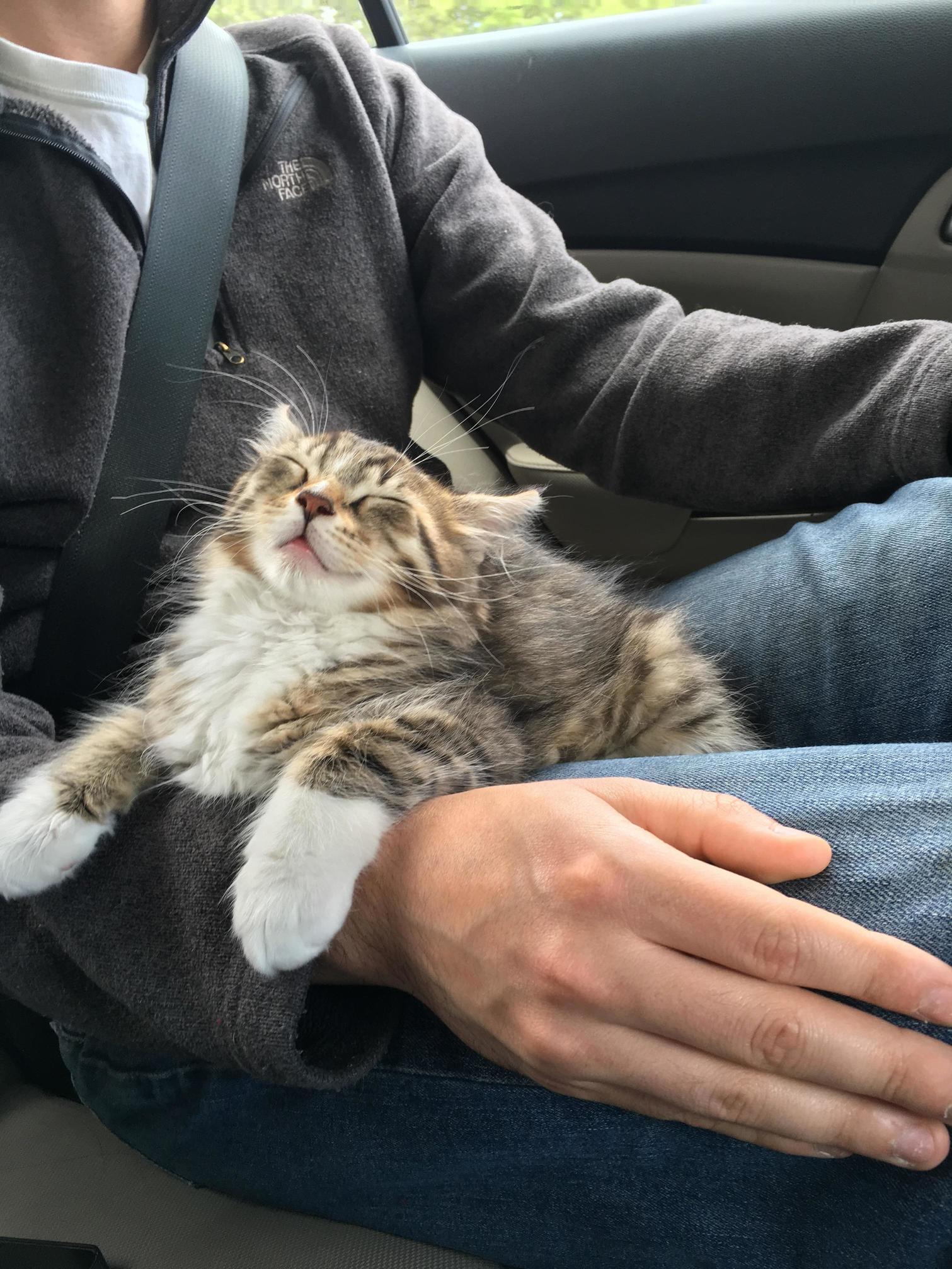 May I Have a Minute of Your Time to Come My Dream