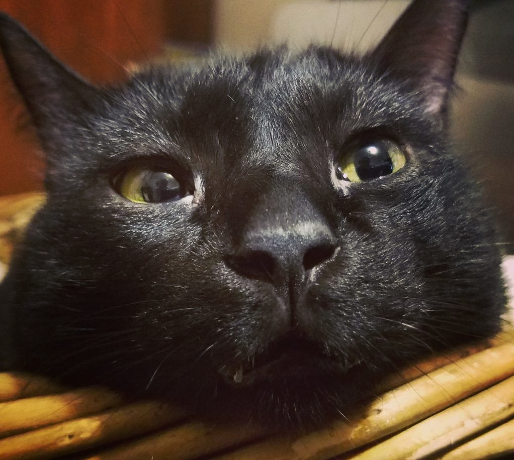 Oh Hi. Im Bernard.