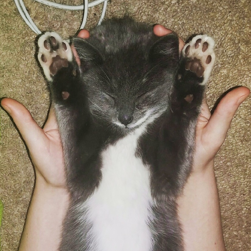 Our Little Cutie Milky