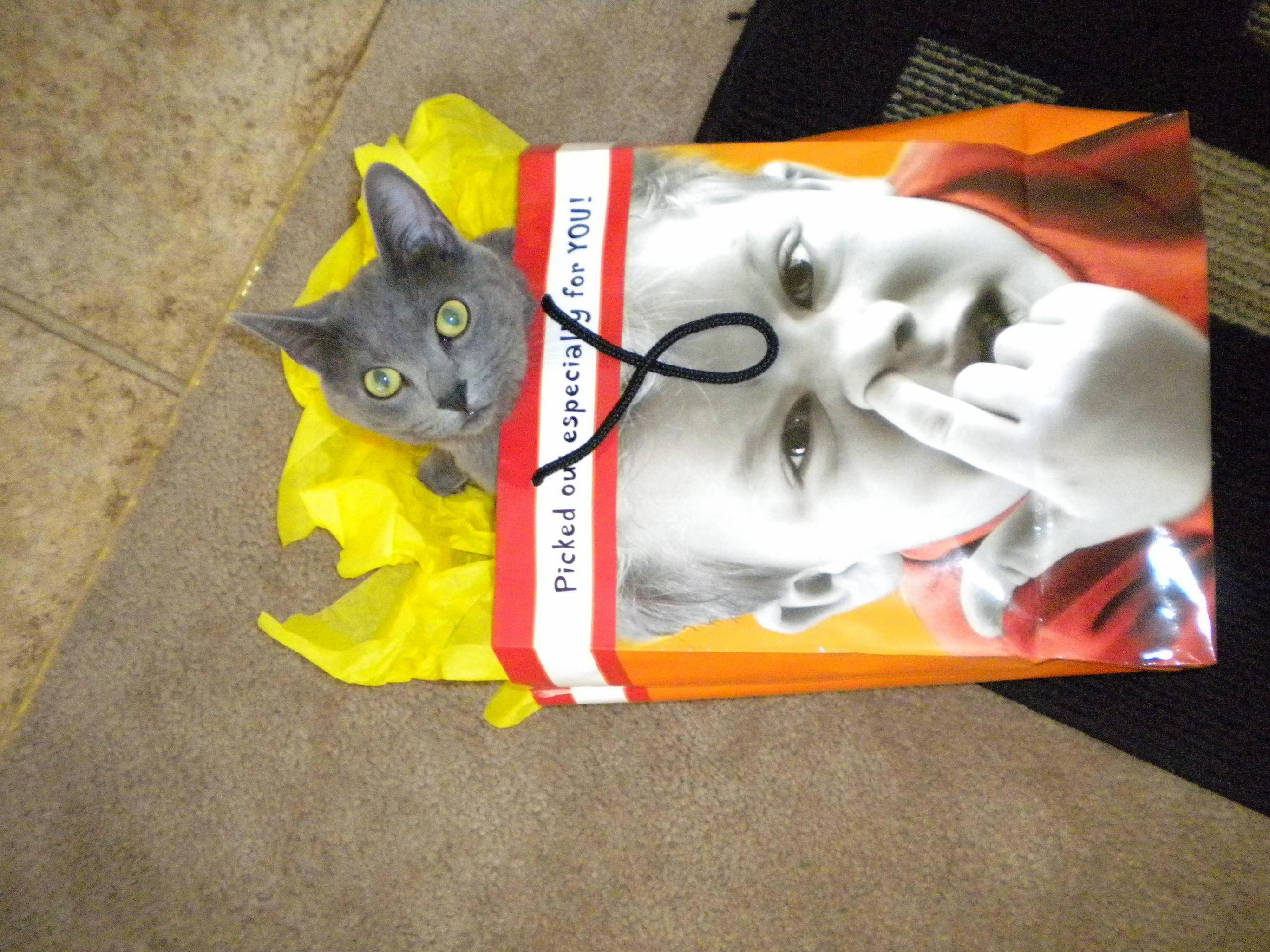 Picked Out Especially for You...thanks Kita