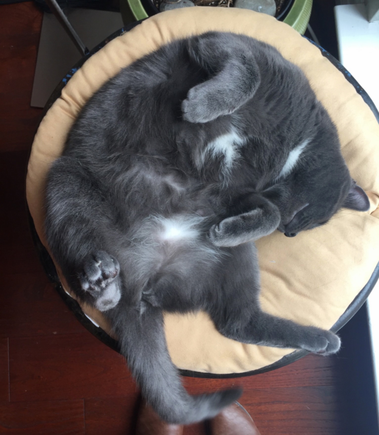 Posy Doesnt Sleep Lightly