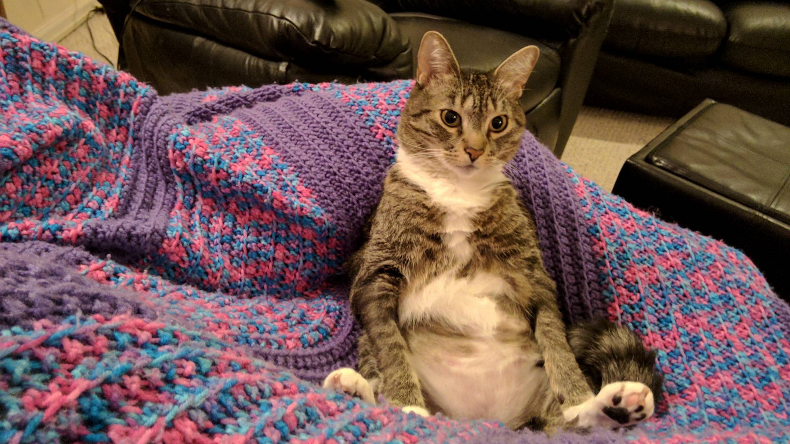 She Loves Sitting Like This