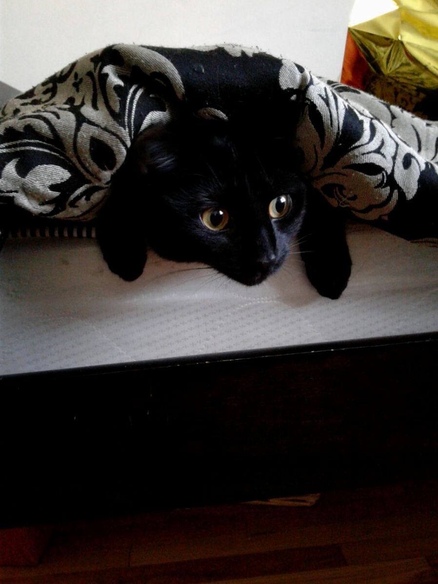 She Thought ID Never Find Her Here...