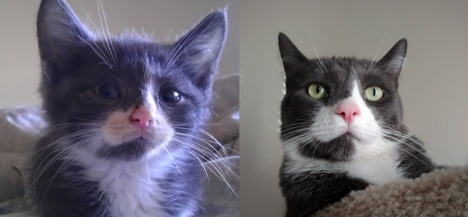 Sherlock - Then and Now