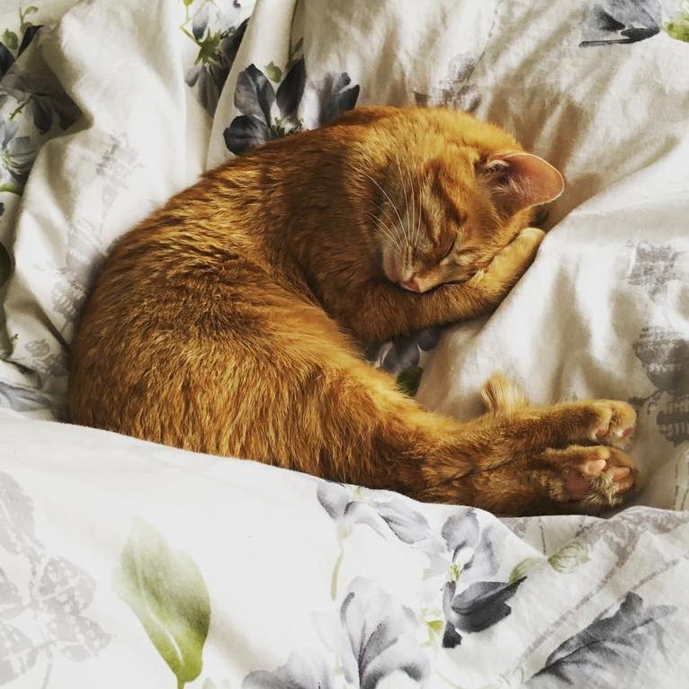 Simon Is So Adorable When He Naps