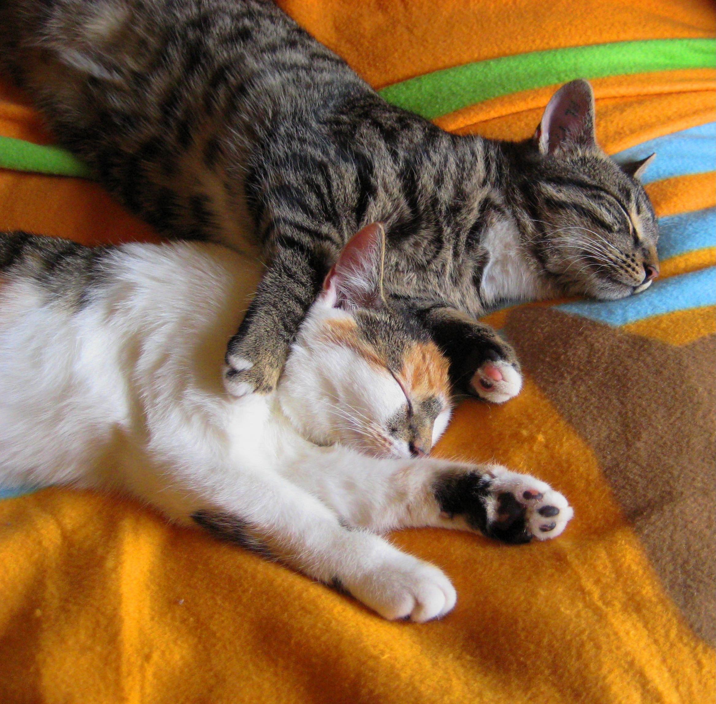 Snuggling Siblings