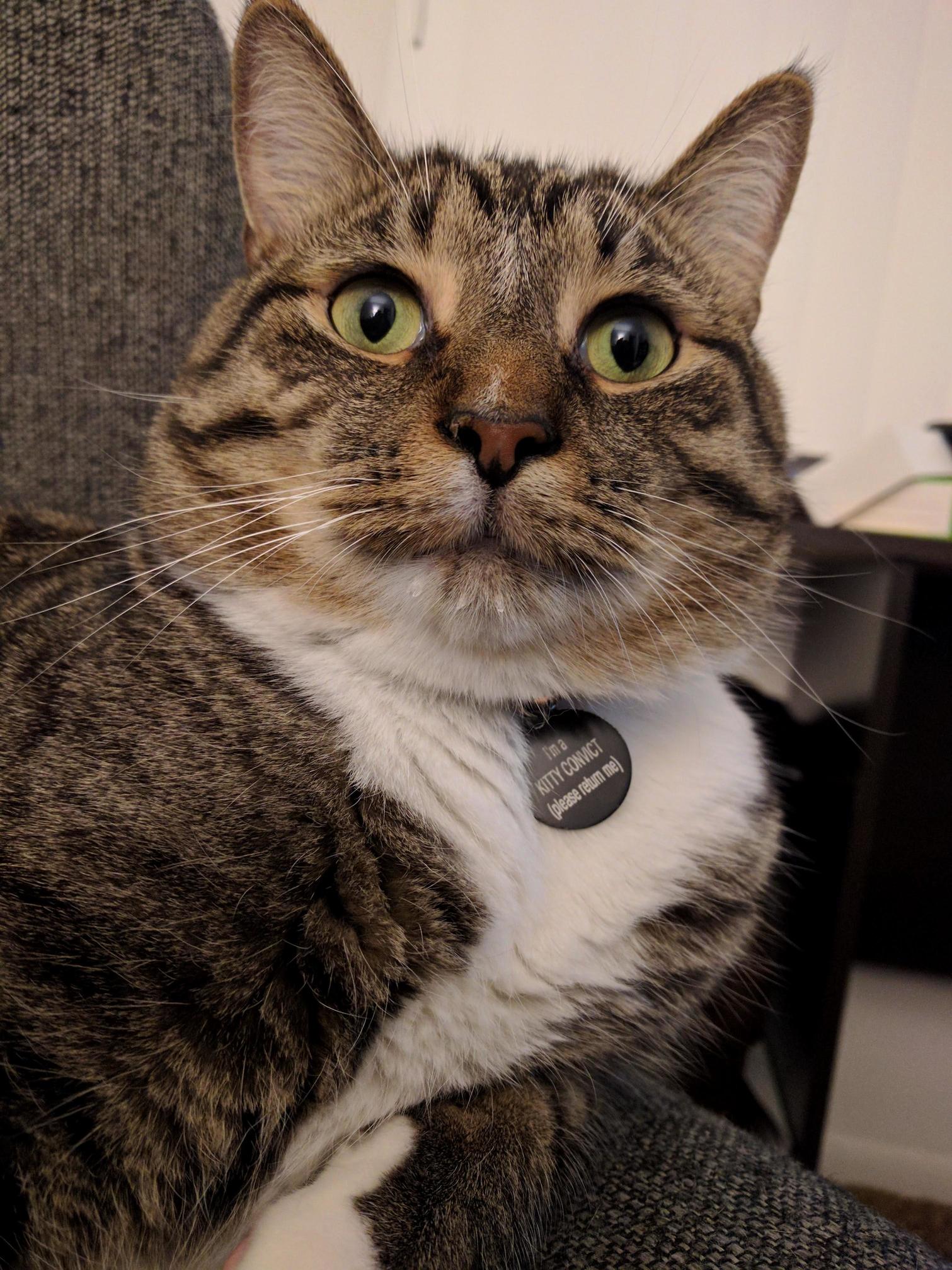 That Innocent Look...