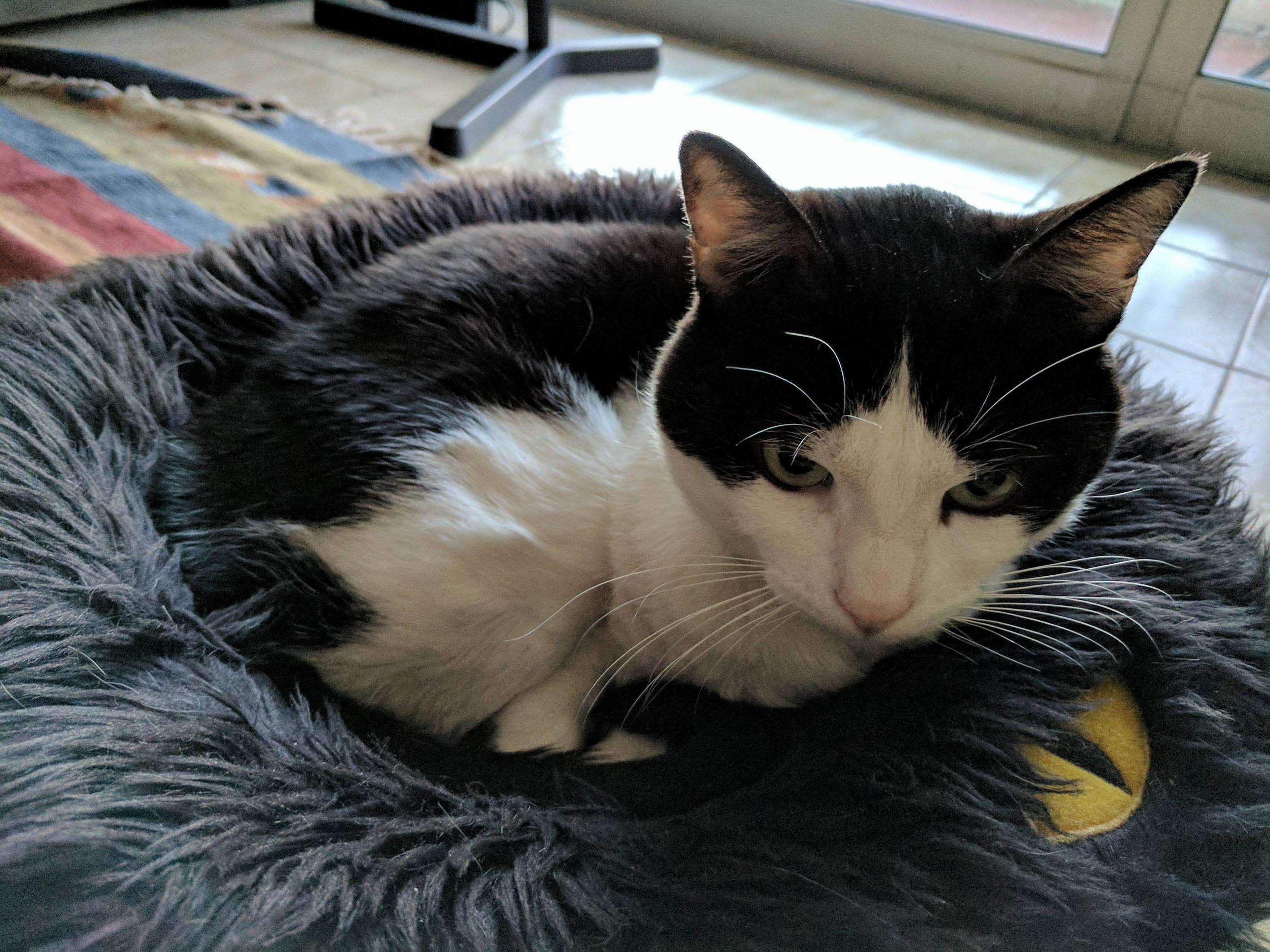 This Is My Guy. Hes Having a Rough Time at the Moment...
