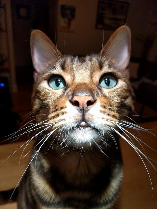 This Is Sagan