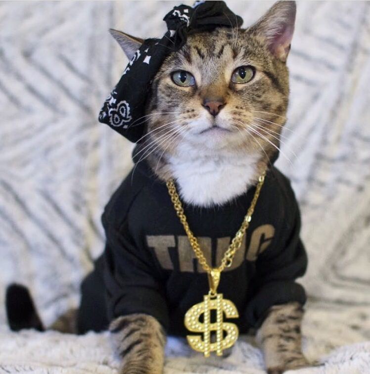 Thug Life