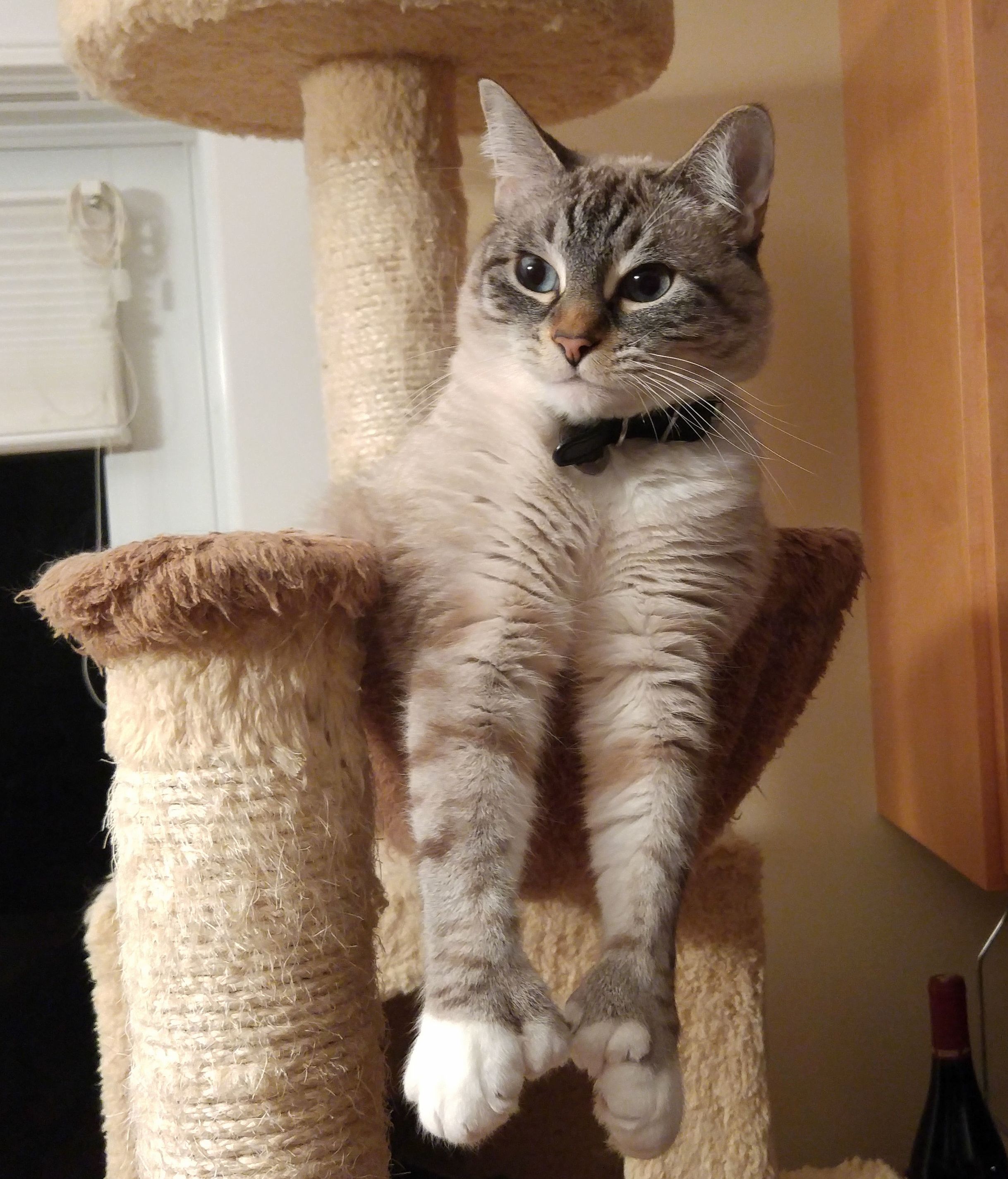 Toes for Days