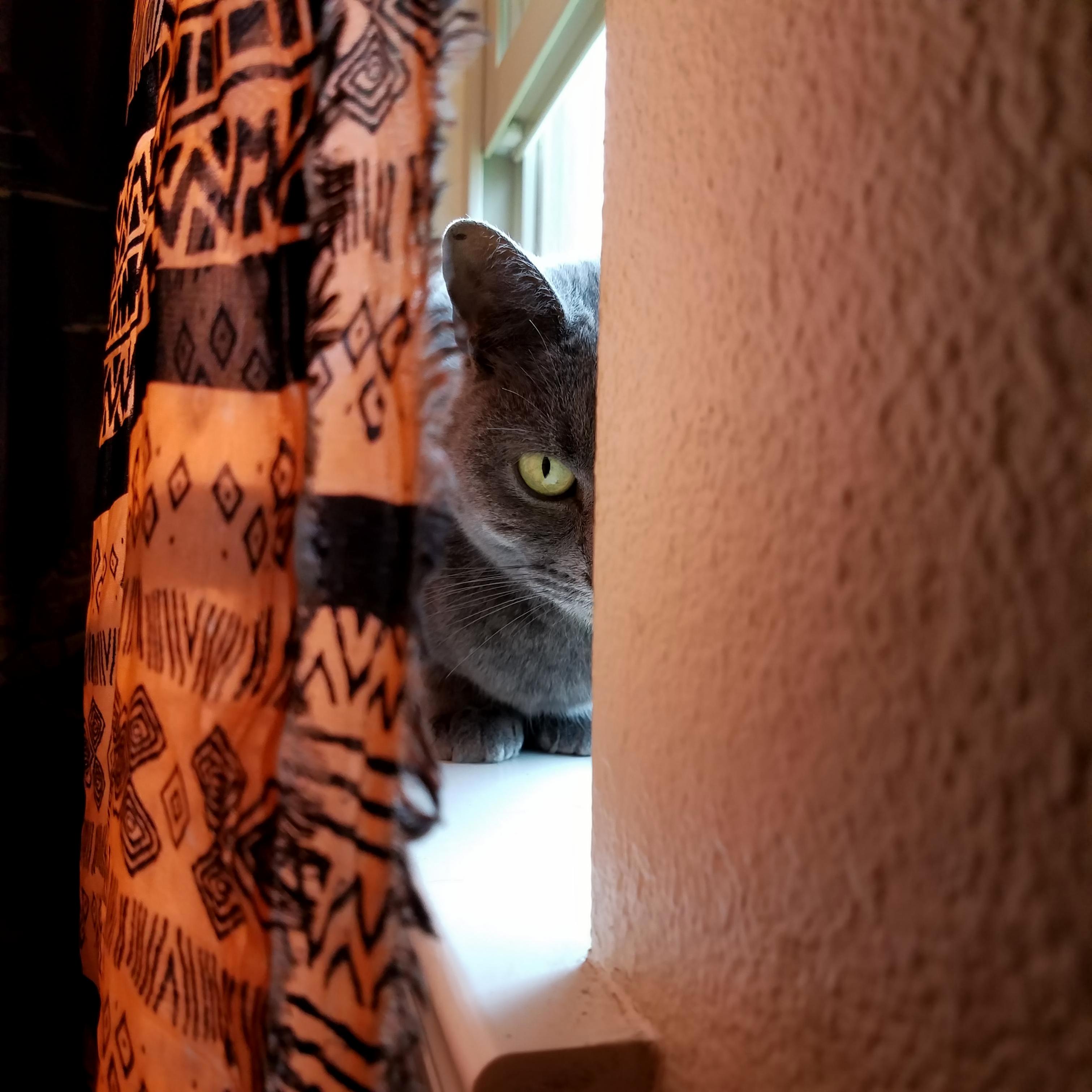 We Call Her Mouse and This Is One of Her Favorite Hiding Holes.