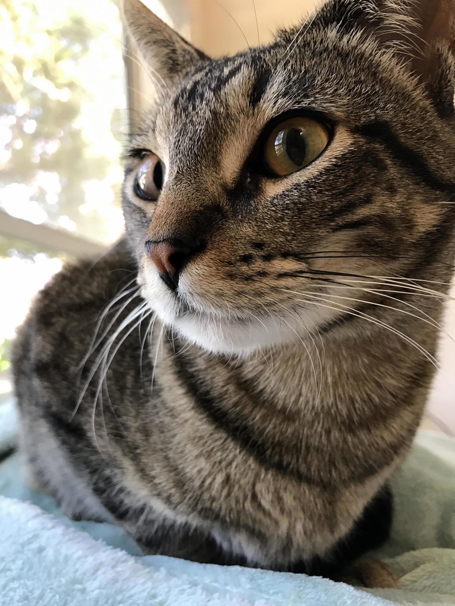 A Nice Sunny Day Means More Bird Watching and Less Human Scratching