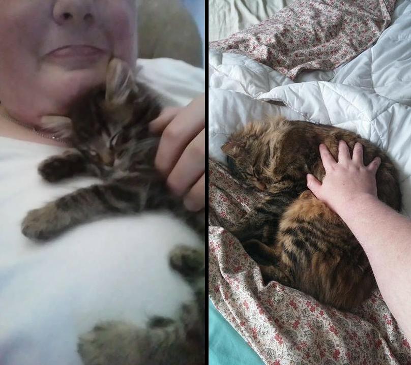 Amazing the Difference a Year and a Half Can Make. Hand for Scale