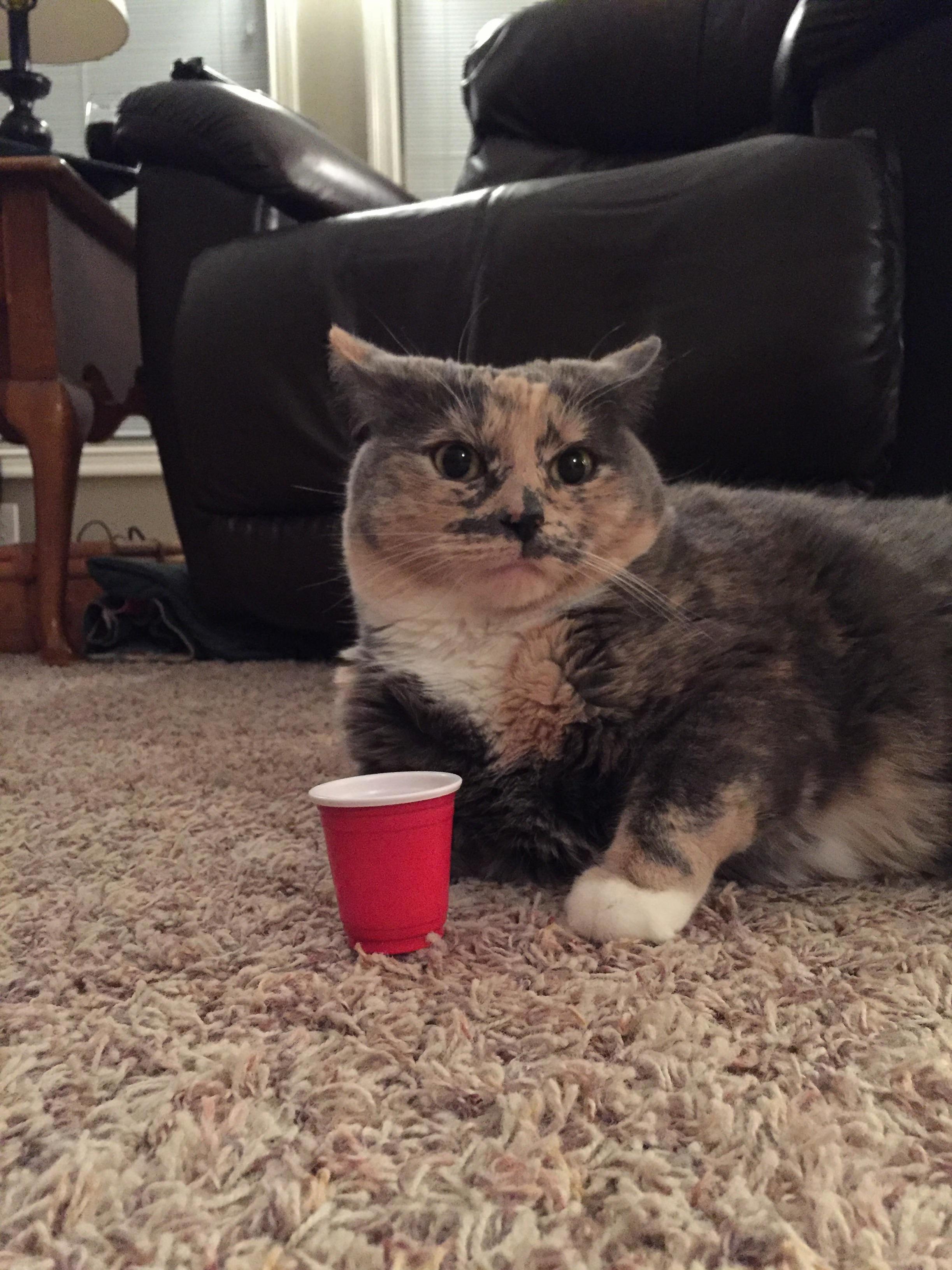 Are You 21