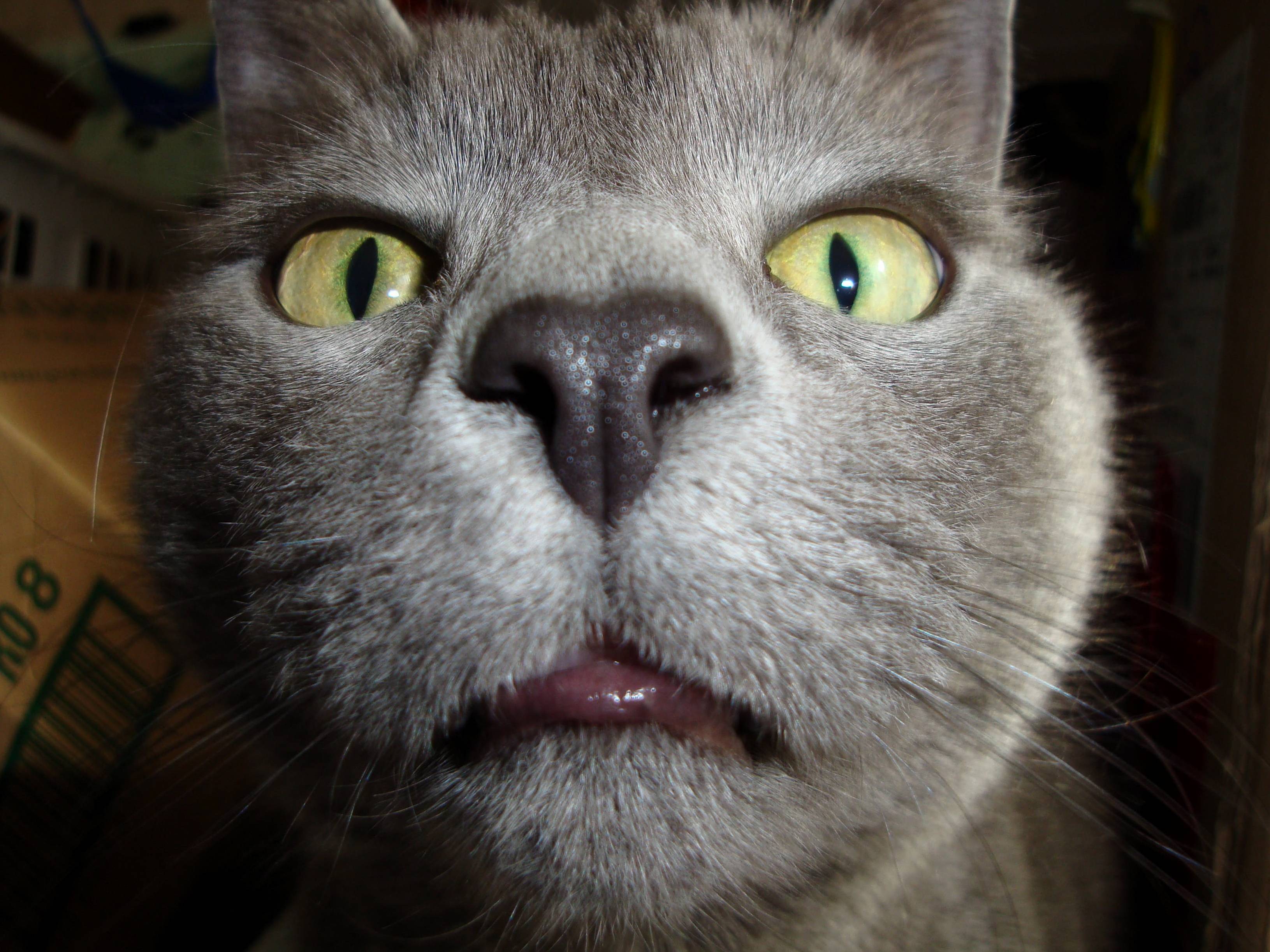 Are You High Again
