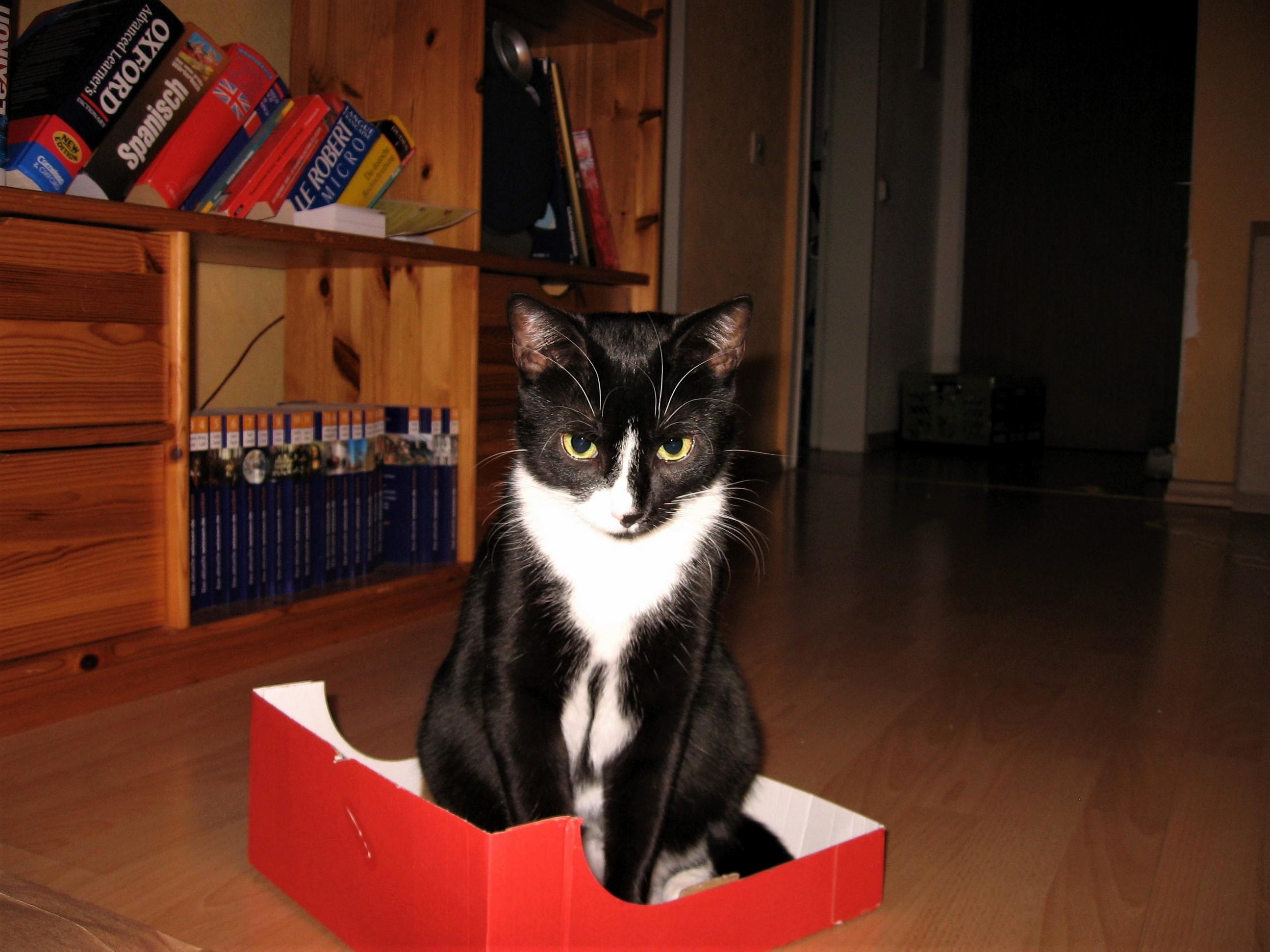 Are You Kidding Me You Call This a Box