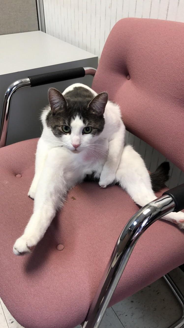 As the Only Man in an Office Full of Women Hes Gotta Strike a Sexy Pose