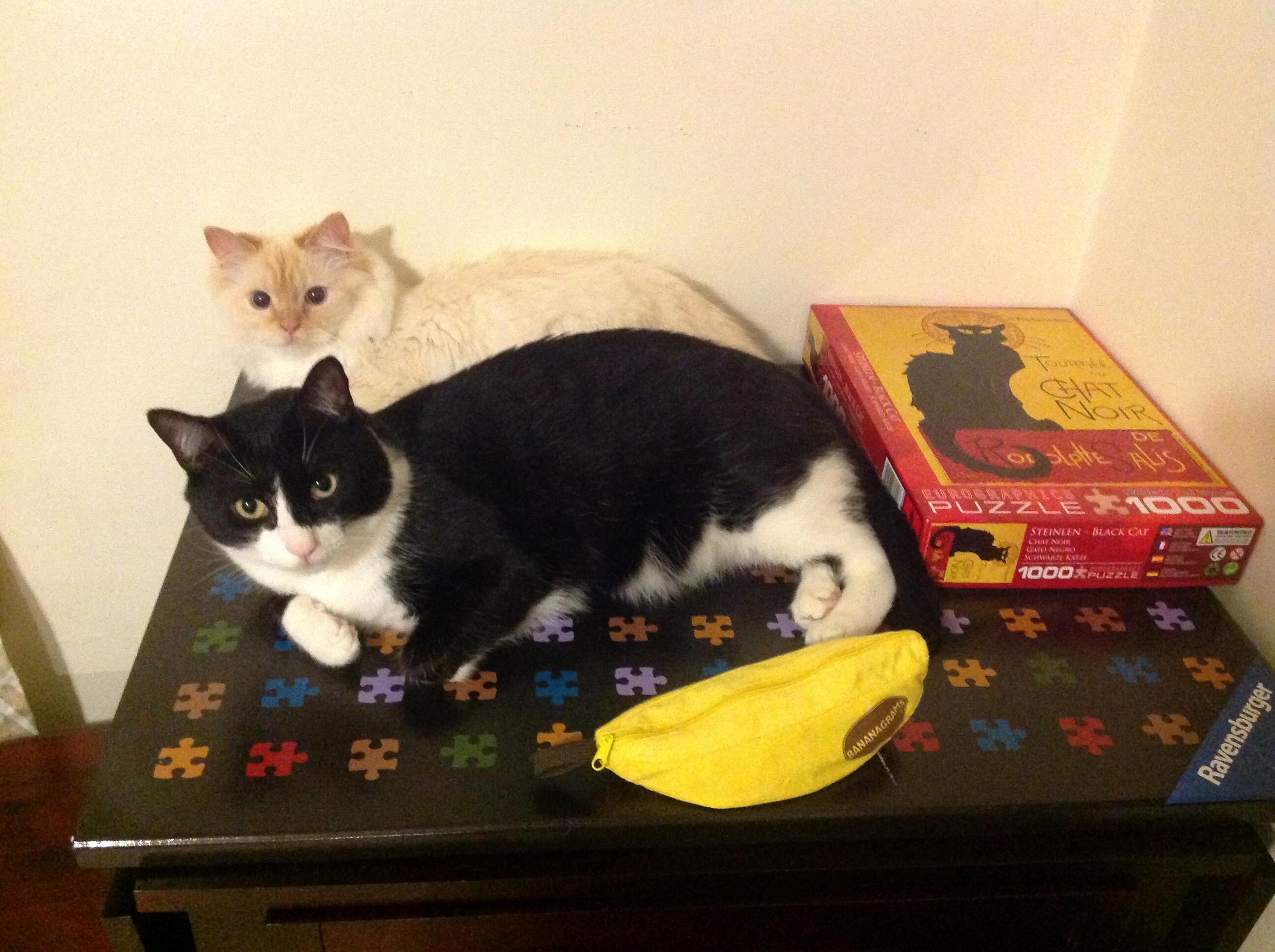 Banana for Scale