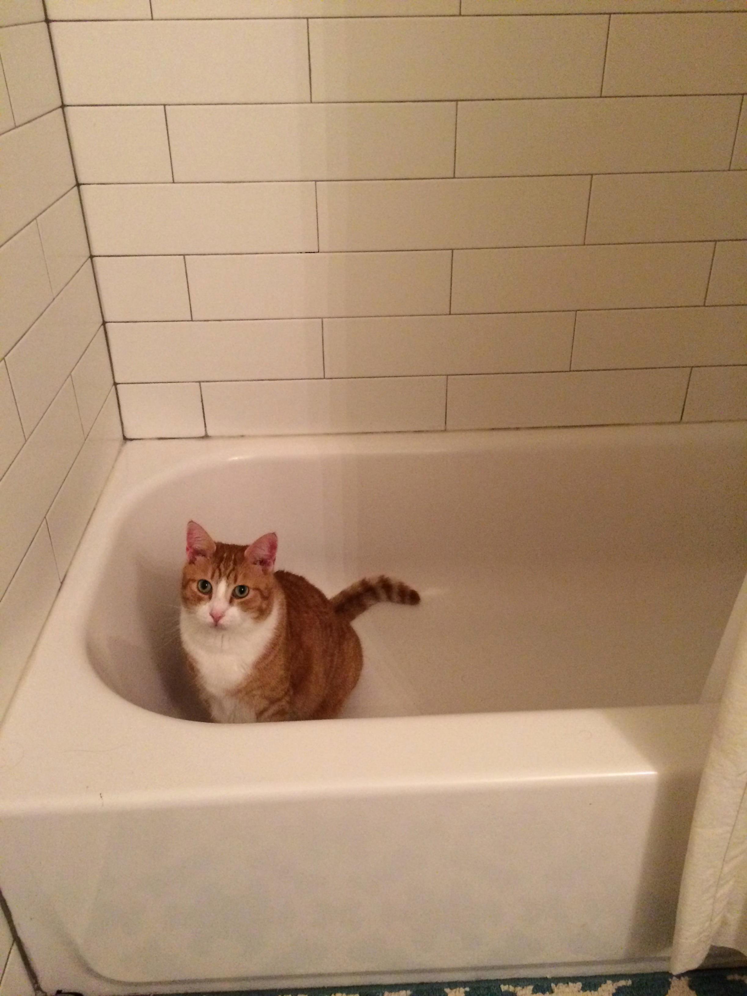 Bath Time