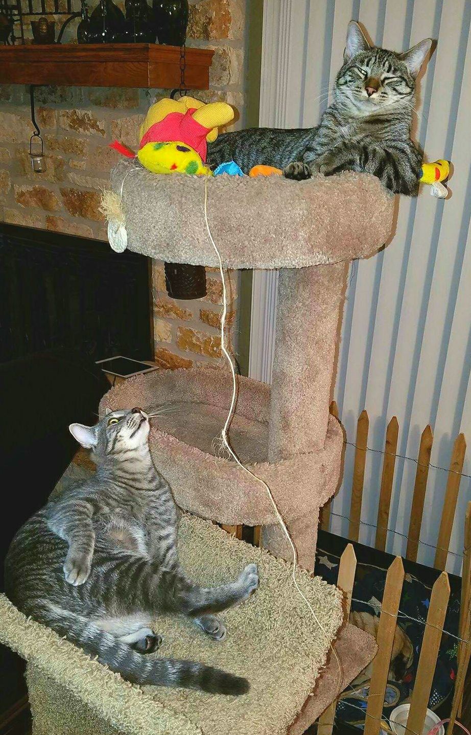 Big Brother Has All the Toys