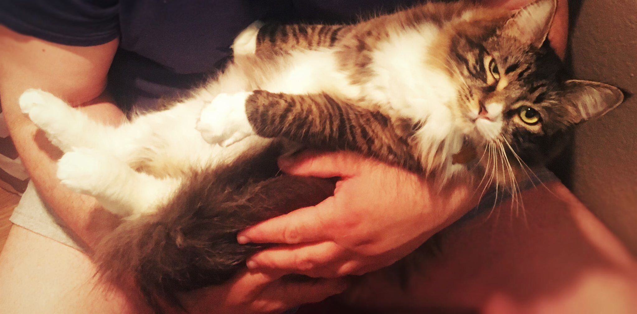 Bobo Is Thoroughly Unamused