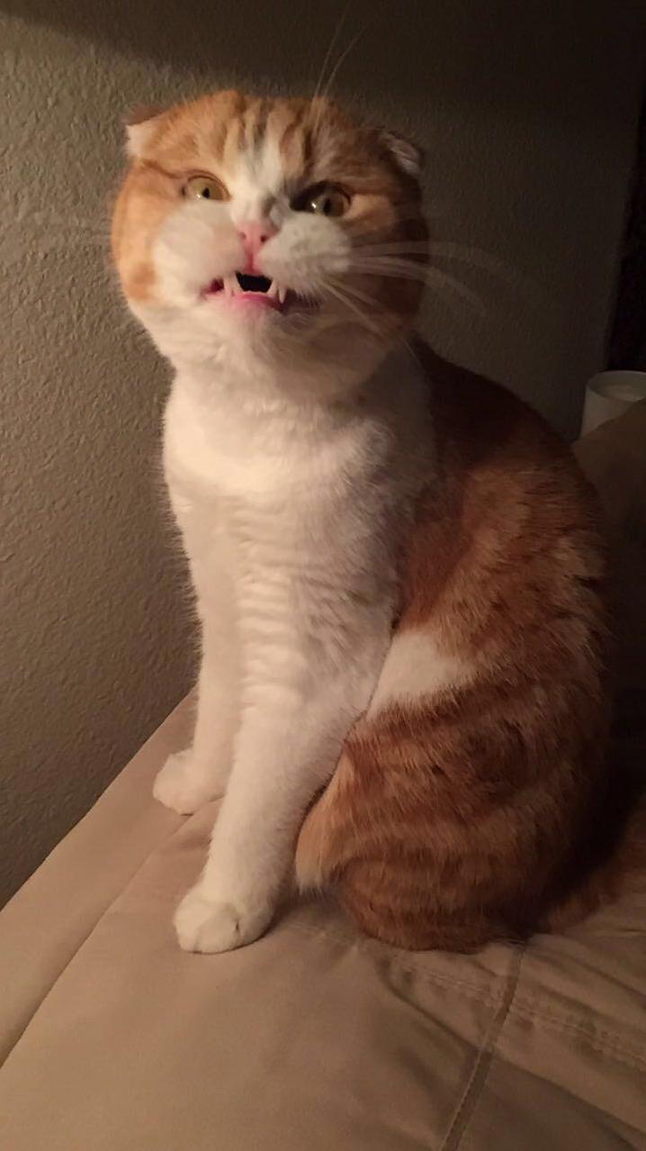 Brb Have to Get an Exorcism for This Demon
