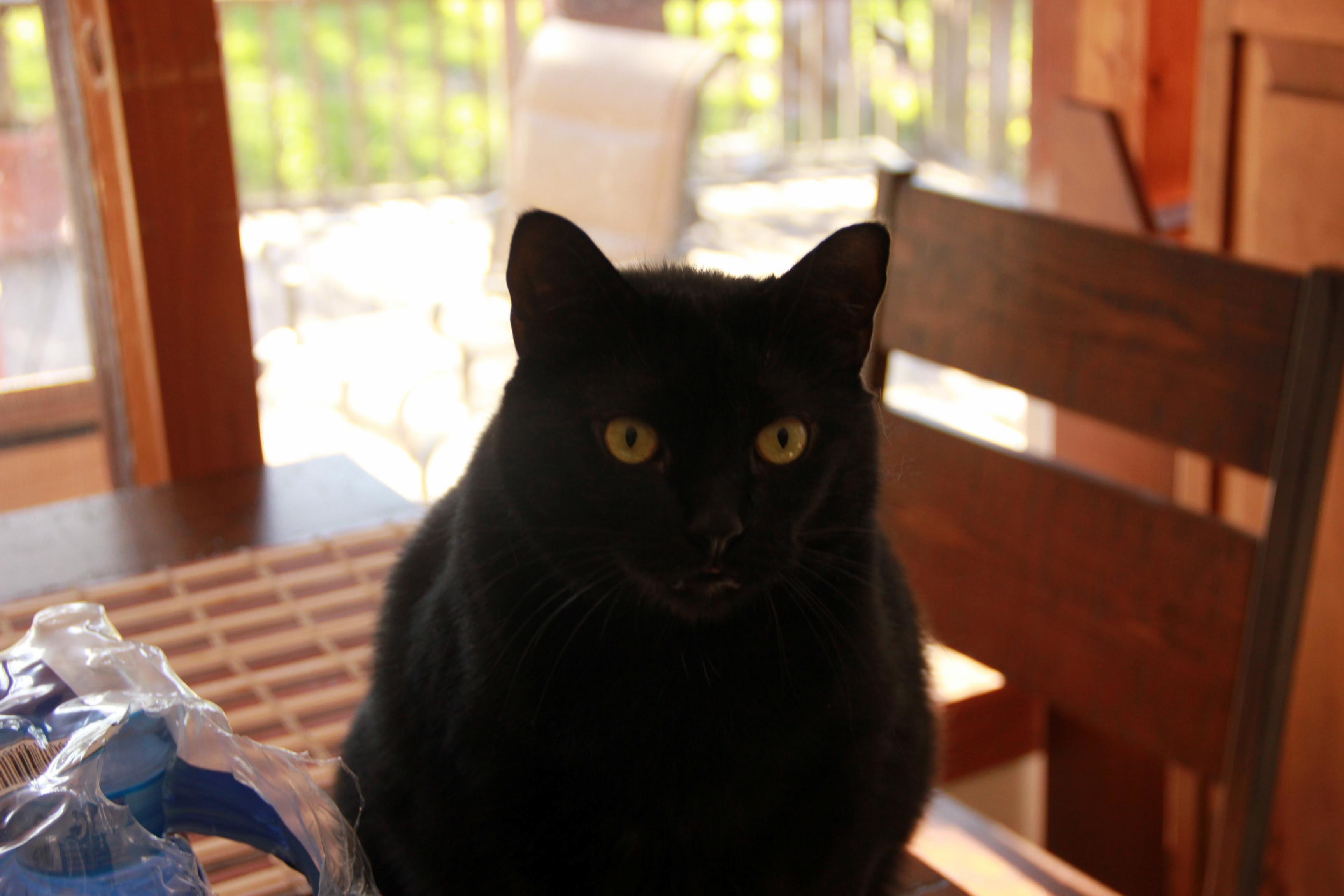 Brought a New Camera Home Recently Hes Never Looked So Good Before