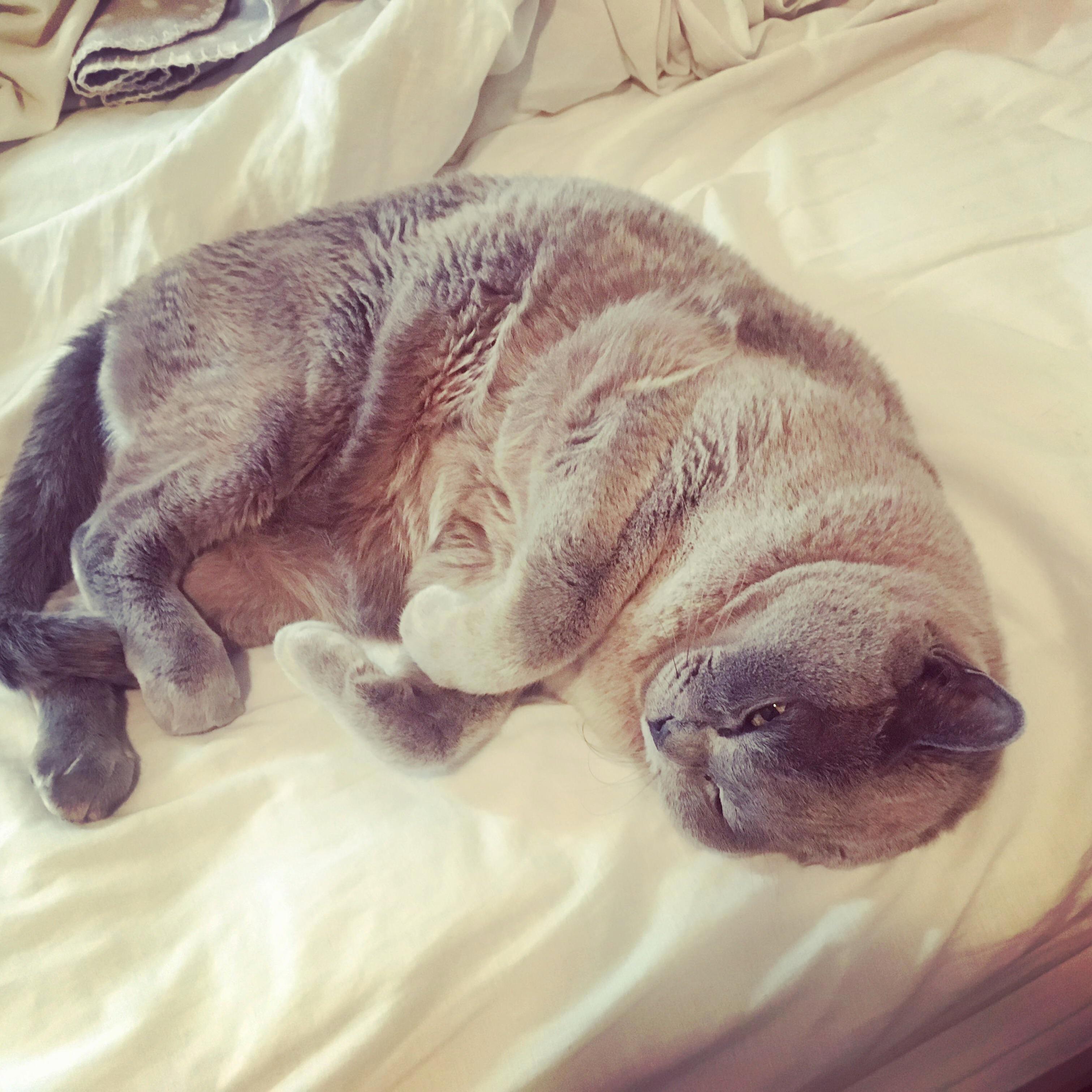 But I Dont Wanna Wake Up