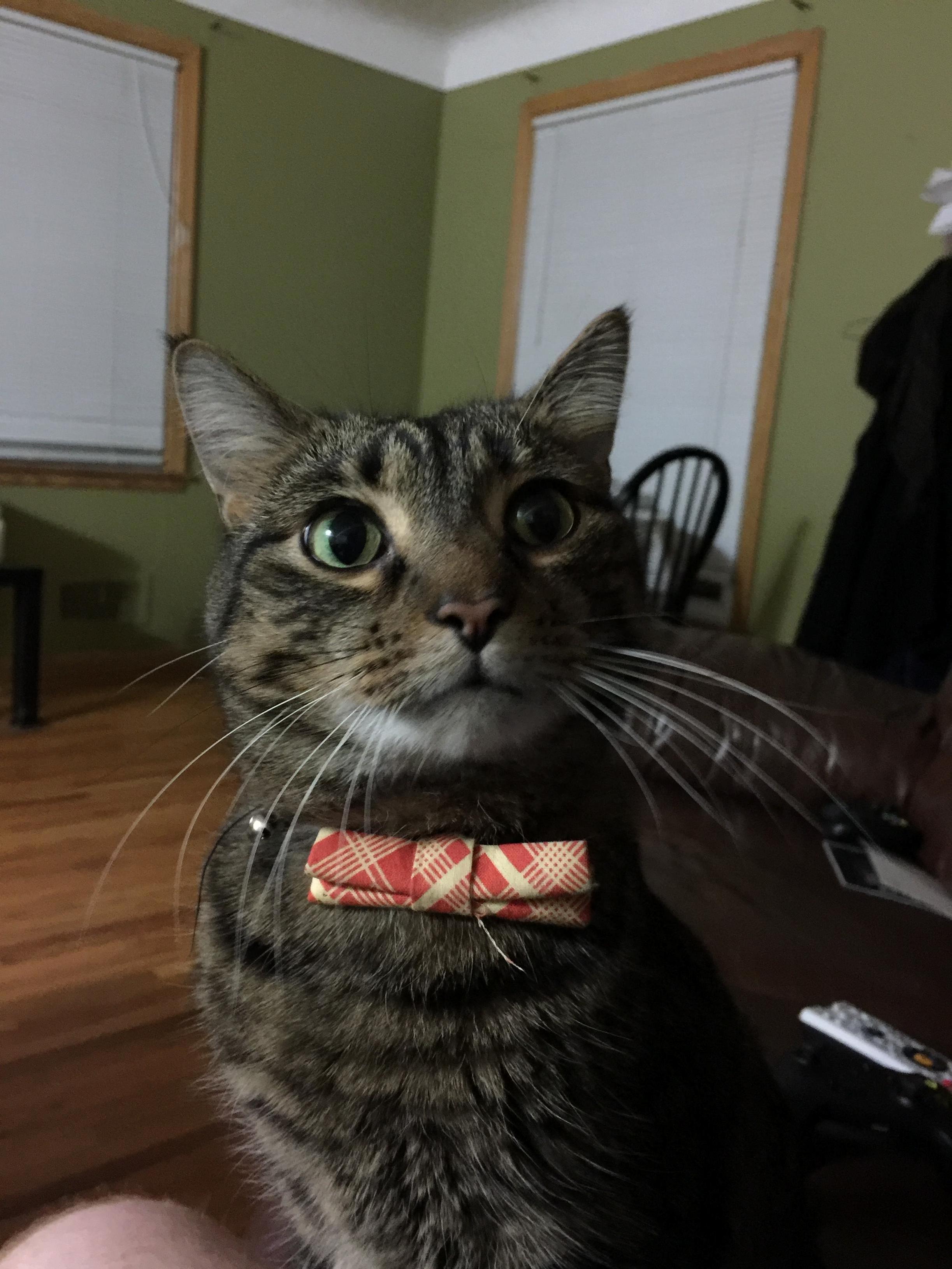 Butters. Dapper As Always.